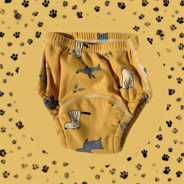 Littleswins Potty Training Underwear