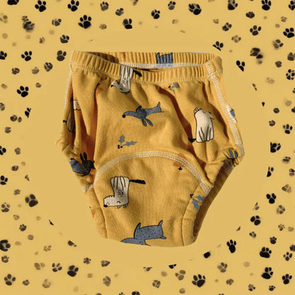 Littleswins Potty Training Underwear