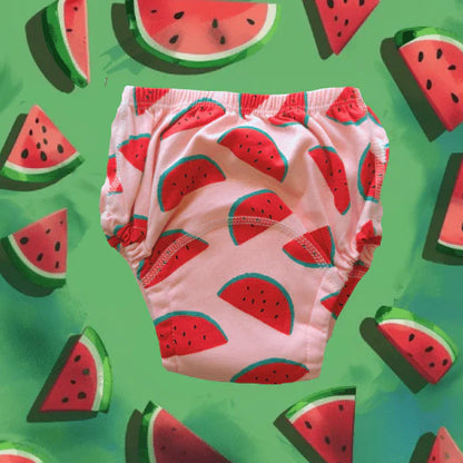 Littleswins Potty Training Underwear
