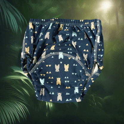 Littleswins Potty Training Underwear
